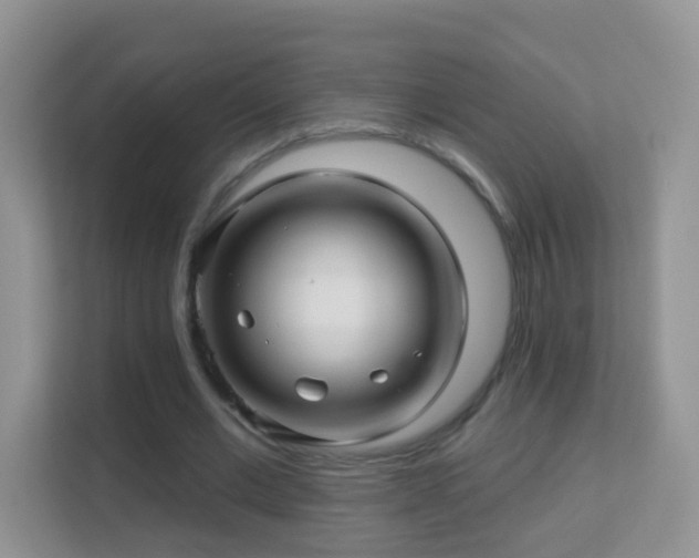 X0000113530677200909250906