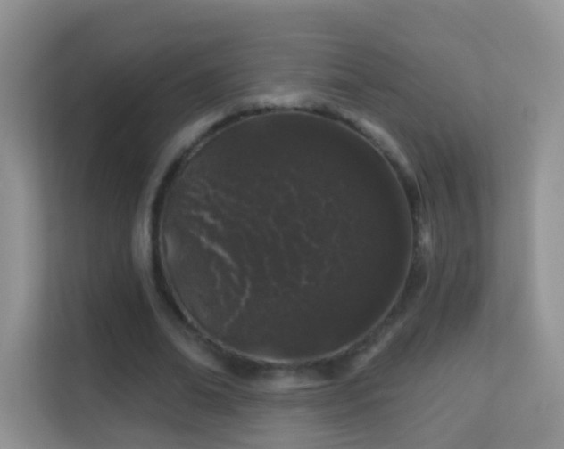 X0000113530678200909250906