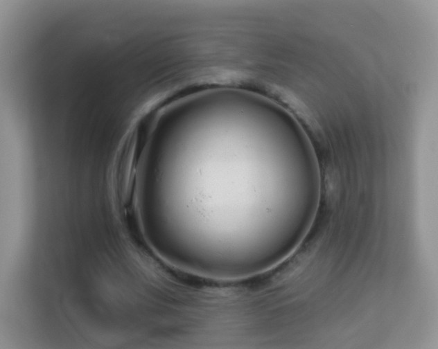 X0000113530679200909250906