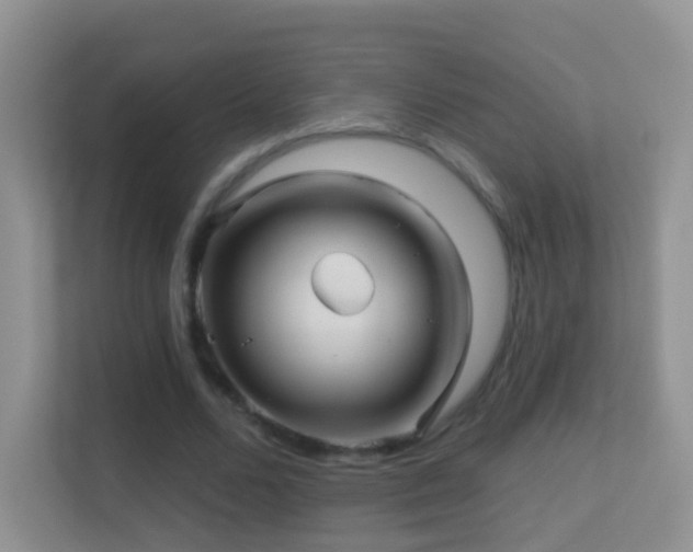 X0000113530680200909250906