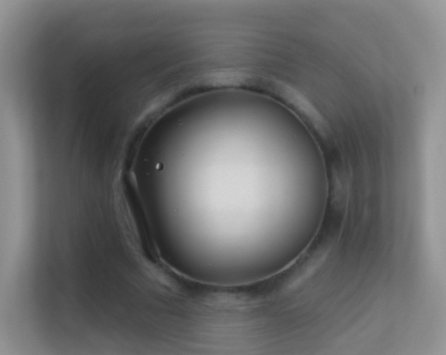 X0000113530681200909250906