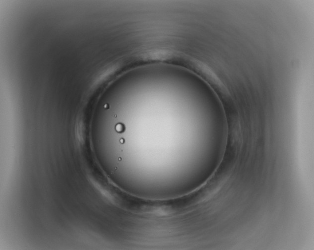 X0000113530683200909250906