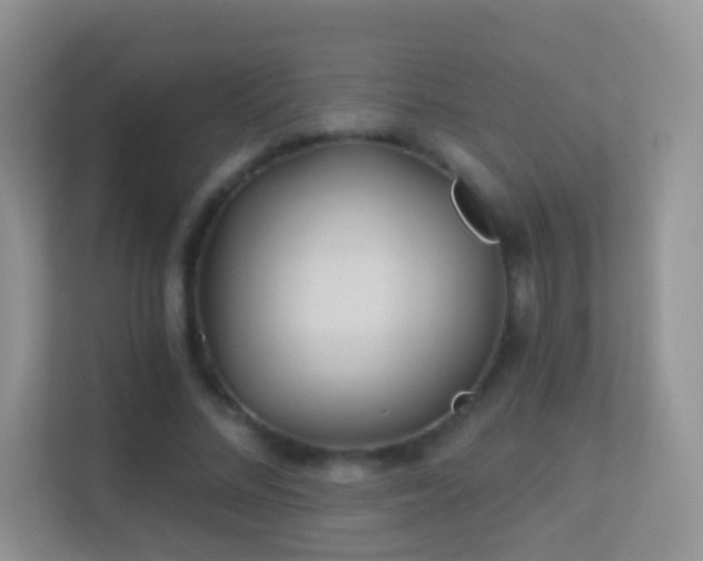 X0000113530684200909250906