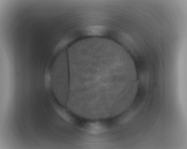 X0000113530688200909250906