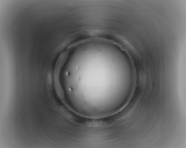 X0000113530691200909250906