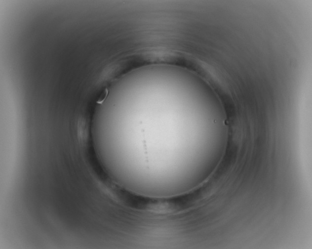 X0000113530695200909250906