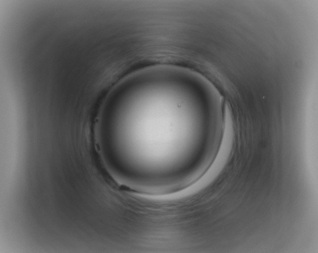 X0000113530696200909250906