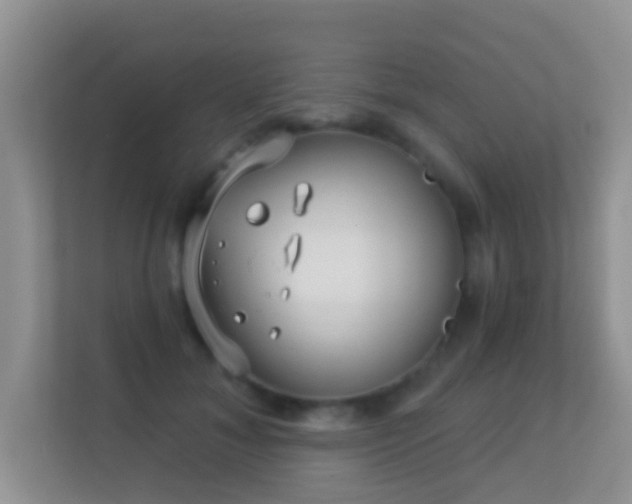 X0000113530700200909250906