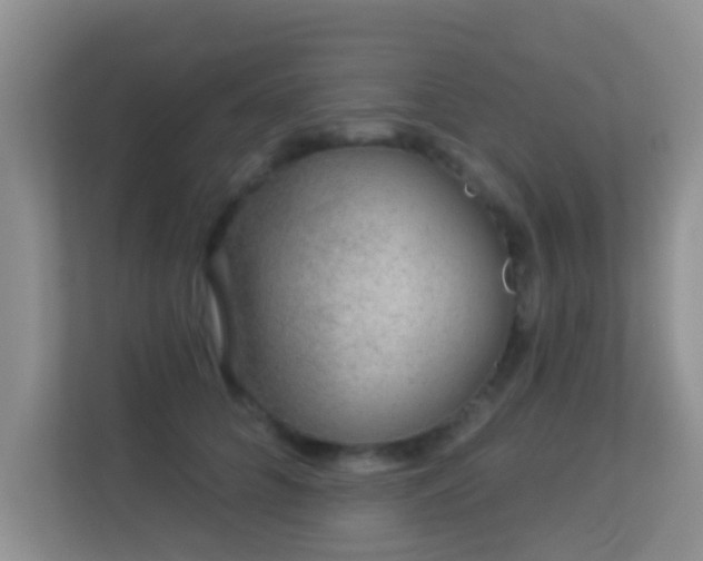 X0000113530704200909250906