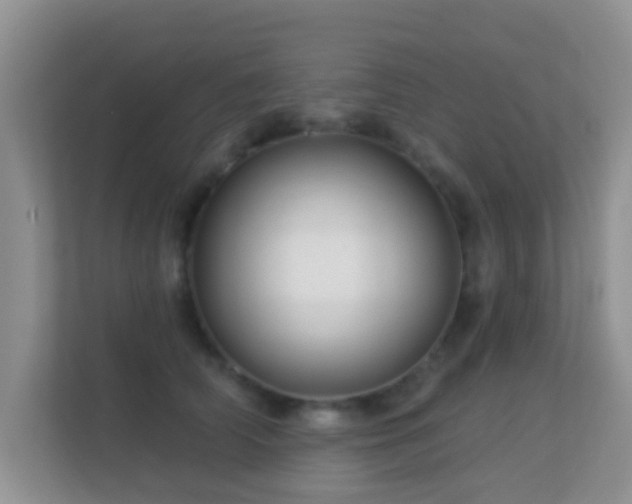 X0000113530706200909250906