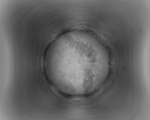 X0000113530708200909250906