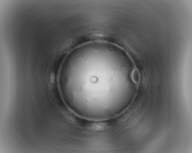 X0000113530711200909250906