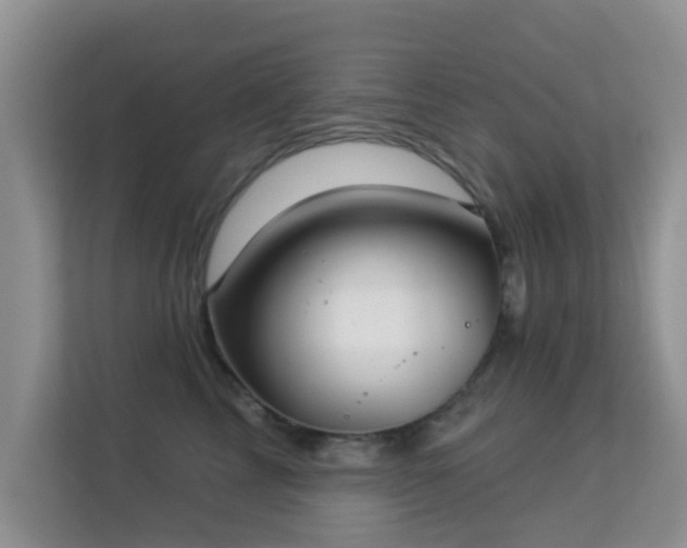 X0000113530713200909250906