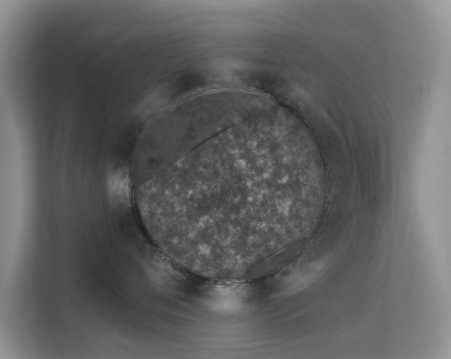 X0000113530720200909250906