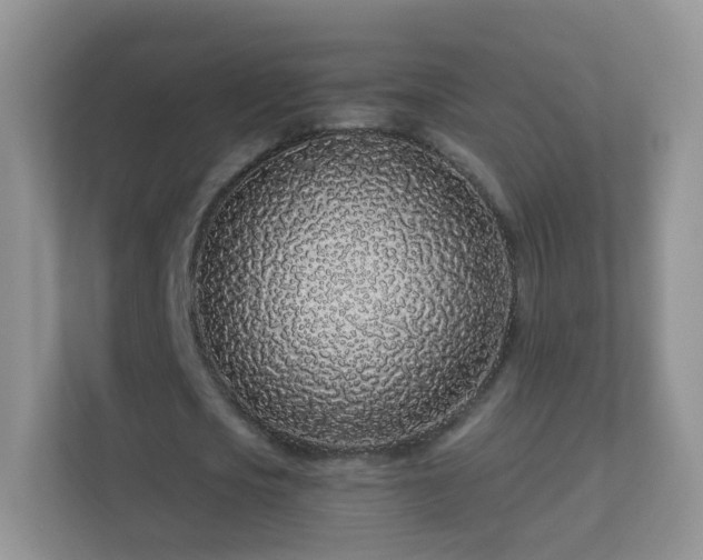 X0000113530721200909250905