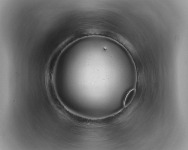 X0000113530722200909250905