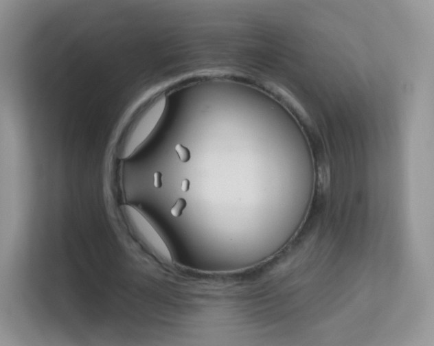 X0000113530724200909250905