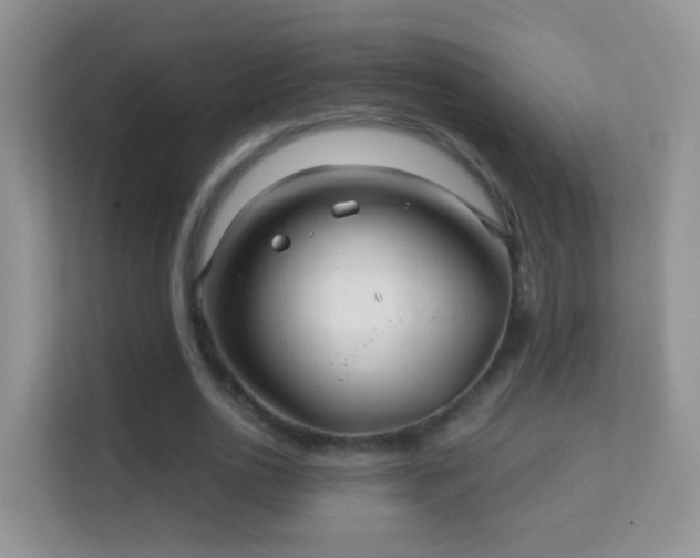 X0000113530726200909250905