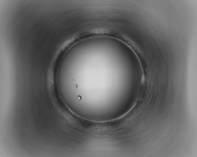 X0000113530727200909250905