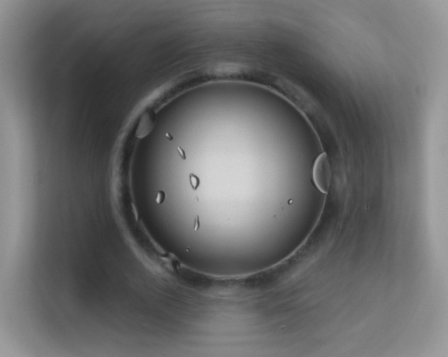 X0000113530728200909250905