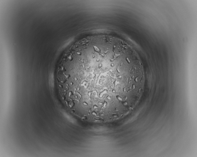 X0000113530729200909250905