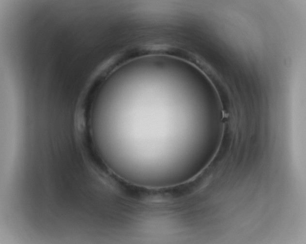 X0000113530731200909250905