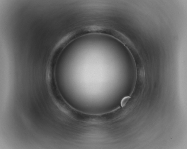 X0000113530732200909250905