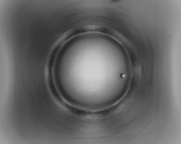 X0000113530734200909250905