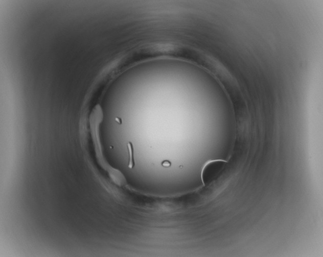 X0000113530736200909250905