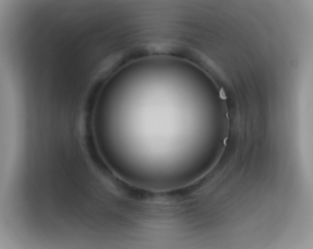 X0000113530738200909250905