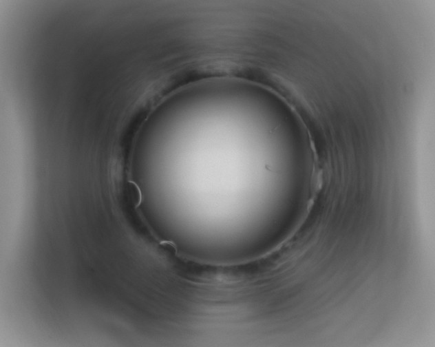 X0000113530739200909250905