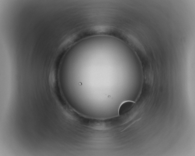 X0000113530740200909250905