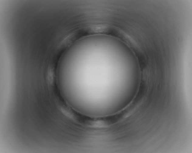 X0000113530741200909250905