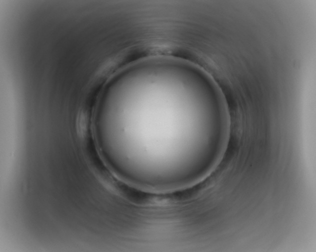 X0000113530742200909250905