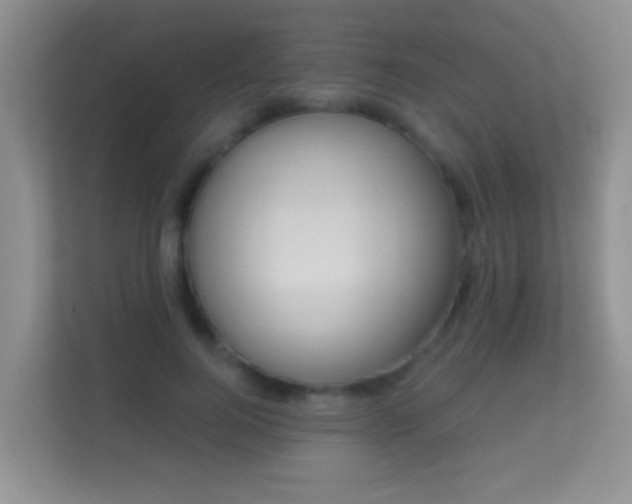 X0000113530744200909250905