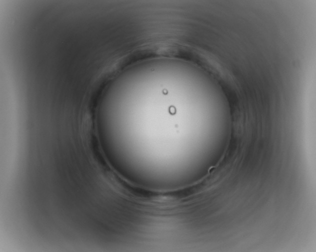 X0000113530748200909250905