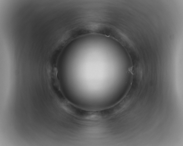 X0000113530750200909250905