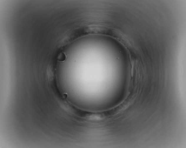 X0000113530751200909250905