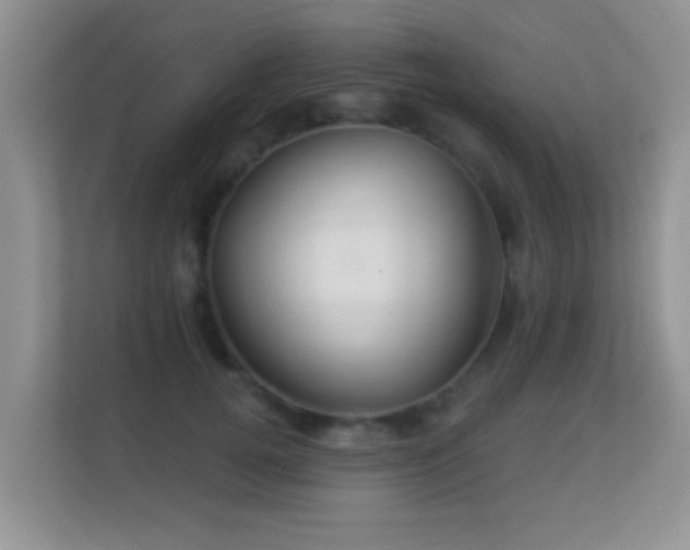 X0000113530752200909250905