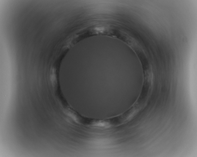 X0000113530754200909250905