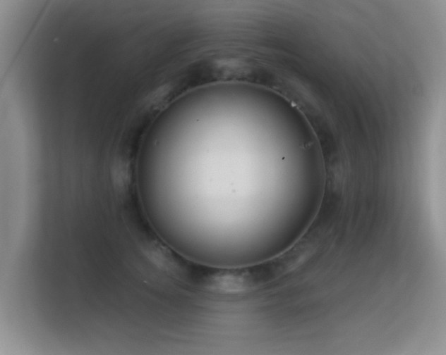 X0000113530756200909250906