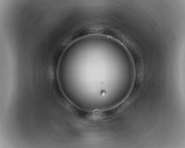 X0000113530758200909250906