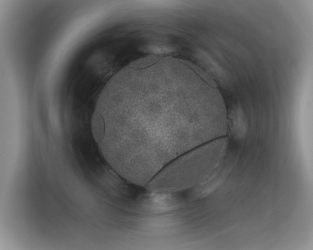 X0000113530762200909250906