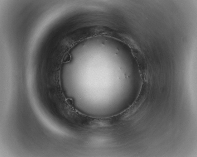 X0000113530763200909250906