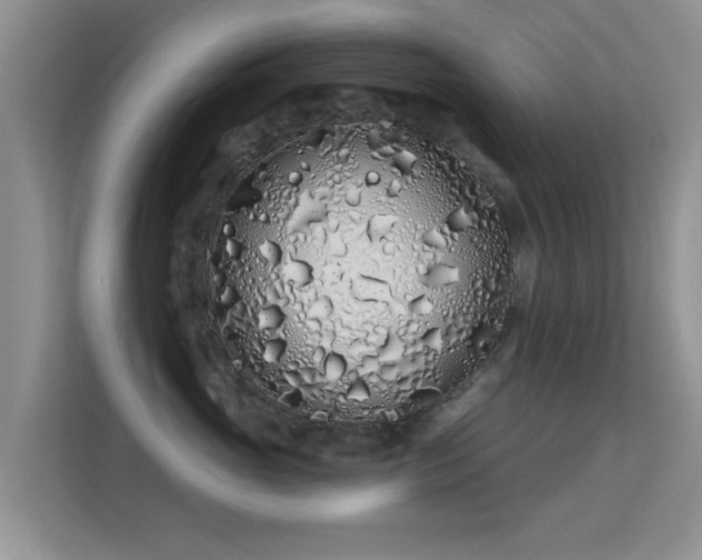 X0000113530765200909250906