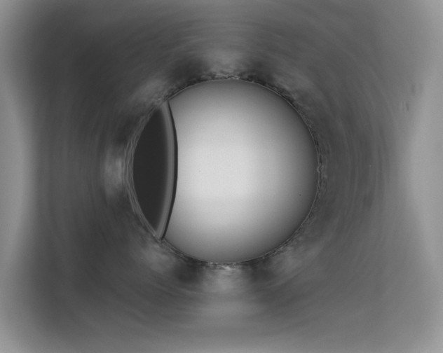 X0000113530768200909250906