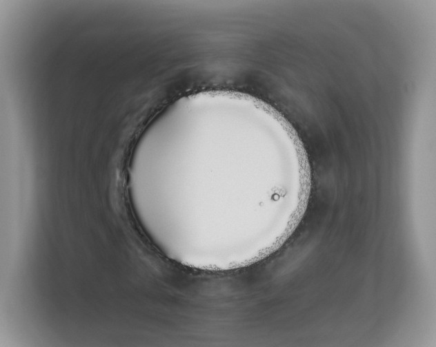 X0000113530769200909250905