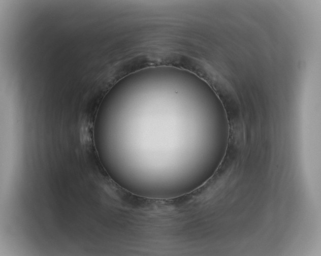 X0000113530770200909250905