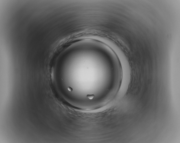 X0000113530773200909250905