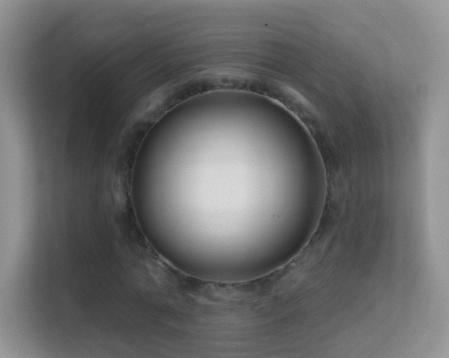 X0000113530774200909250905